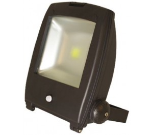 50W IP65 Rated High Power Energy Saving Warm White LED Floodlight 